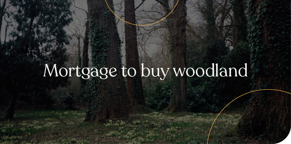 mortgage to buy woodland