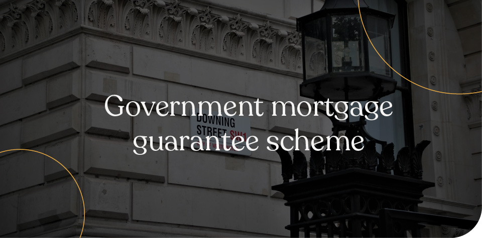 Government mortgage guarantee schemes