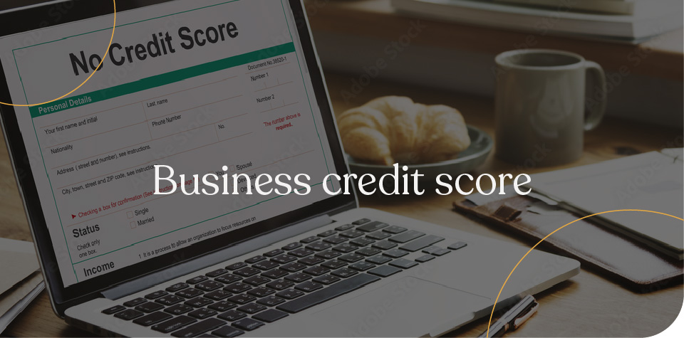 Business credit score